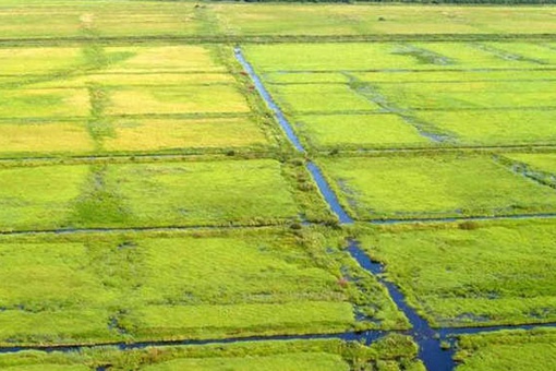 周朝实行的井田制是什么样的