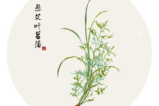 关于端午节的诗句或词句有哪些 端午节的诗句或词句大全