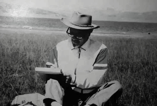 三毛与王洛宾的故事 三毛与王洛宾最后一封信写了什么 三毛与王洛宾的故事 三毛与王洛宾最后一封信写了什么