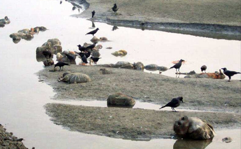 恒河浮尸里面的尸体到底从哪里来的?都是哪些人? 恒河浮尸里面的尸体到底从哪里来的?都是哪些人?