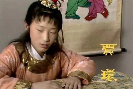 贾环是一个怎样的人 贾环人物性格分析