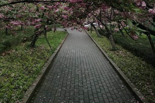 长春石碑岭里面埋葬的是谁?