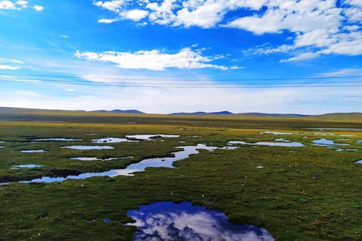 黄河源头为何不能靠近 黄河之源在哪里 黄河源头为何不能靠近 黄河之源在哪里