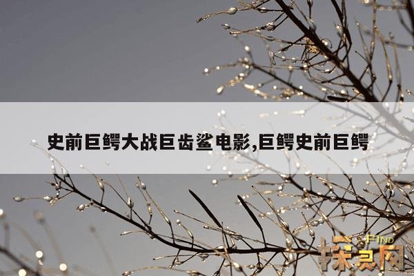 史前巨鳄大战巨齿鲨电影,巨鳄史前巨鳄