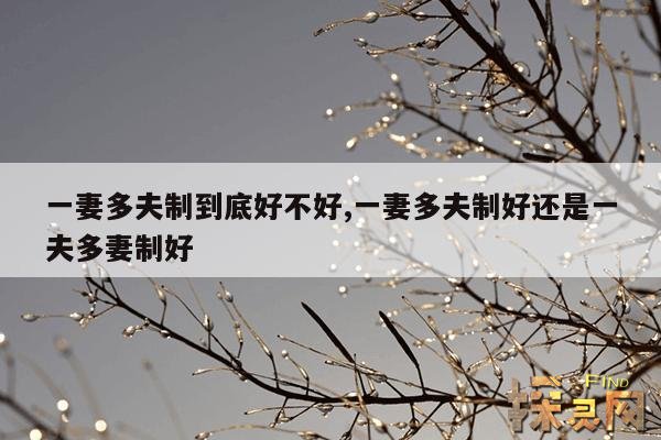 一妻多夫制到底好不好,一妻多夫制好还是一夫多妻制好
