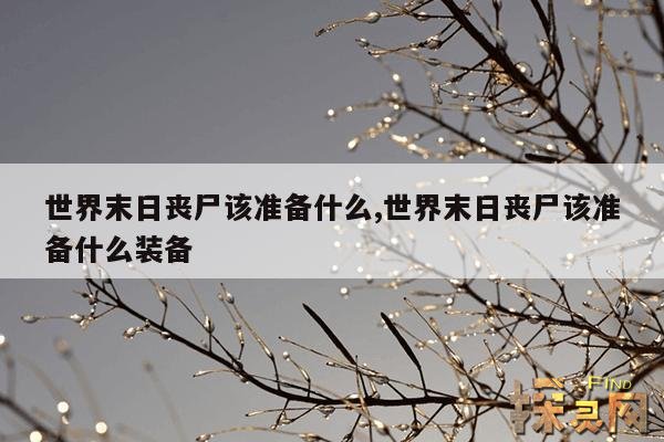 世界末日丧尸该准备什么,世界末日丧尸该准备什么装备