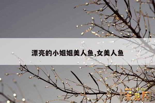 漂亮的小姐姐美人鱼,女美人鱼