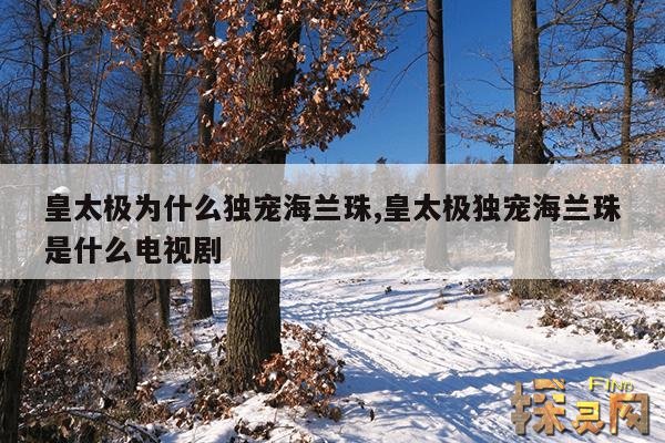 皇太极为什么独宠海兰珠,皇太极独宠海兰珠是什么电视剧