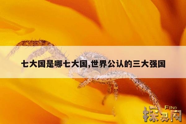 七大国是哪七大国,世界公认的三大强国
