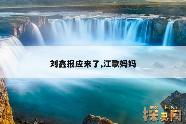 刘鑫报应来了,江歌妈妈