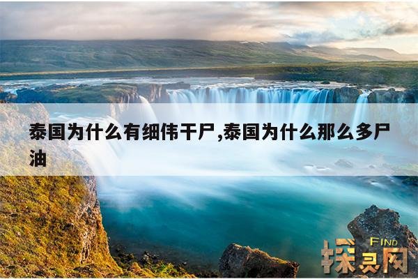 泰国为什么有细伟干尸,泰国为什么那么多尸油