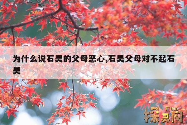 为什么说石昊的父母恶心,石昊父母对不起石昊
