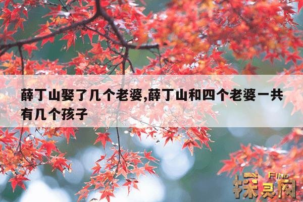 薛丁山娶了几个老婆,薛丁山和四个老婆一共有几个孩子