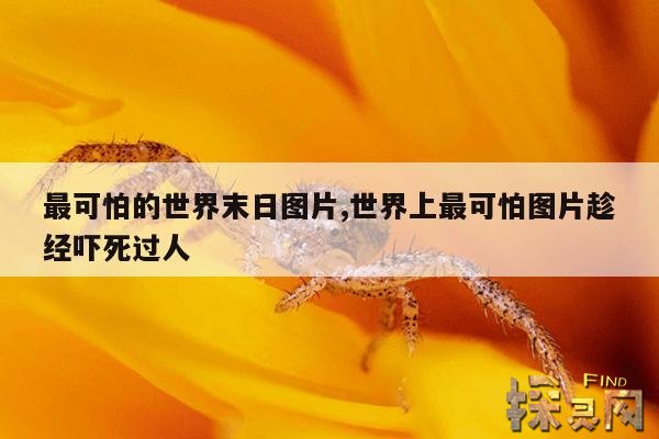最可怕的世界末日图片,世界上最可怕图片趁经吓死过人