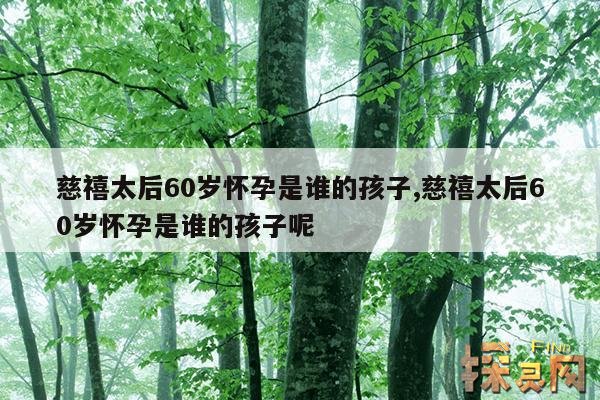 慈禧太后60岁怀孕是谁的孩子,慈禧太后60岁怀孕是谁的孩子呢
