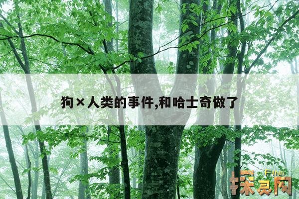 狗×人类的事件,和哈士奇做了