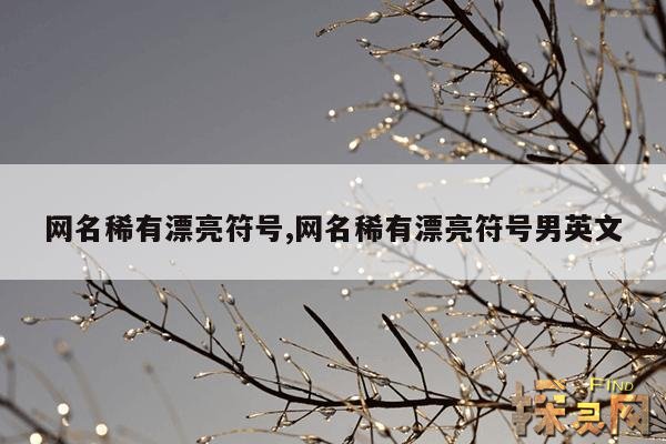 网名稀有漂亮符号,网名稀有漂亮符号男英文
