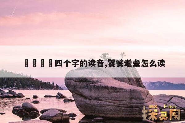 仚屳屲冚四个字的读音,饕餮耄耋怎么读