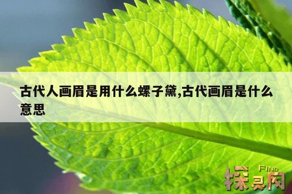 古代人画眉是用什么螺子黛,古代画眉是什么意思