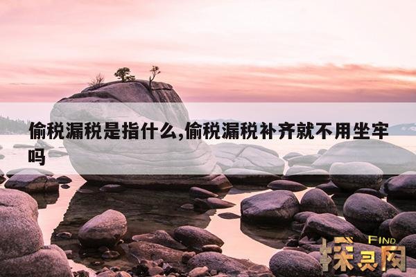 偷税漏税是指什么,偷税漏税补齐就不用坐牢吗
