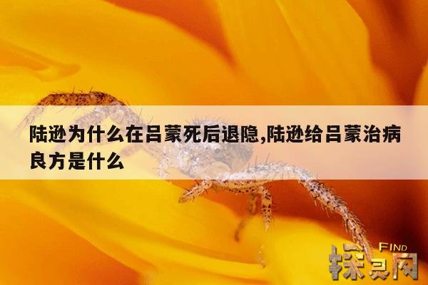 陆逊为什么在吕蒙死后退隐,陆逊给吕蒙治病良方是什么