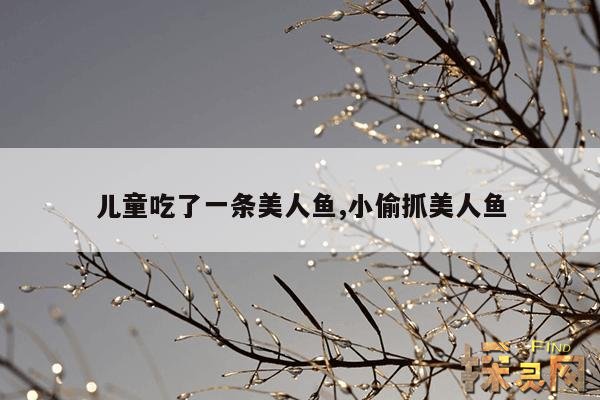 儿童吃了一条美人鱼,小偷抓美人鱼