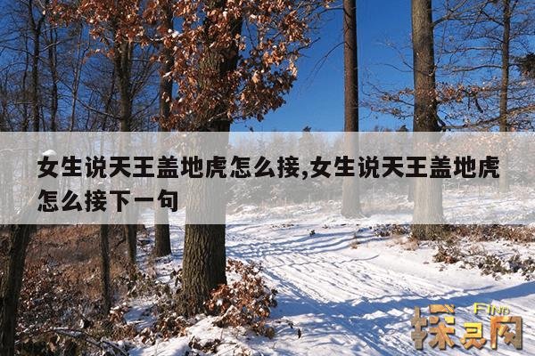 女生说天王盖地虎怎么接,女生说天王盖地虎怎么接下一句