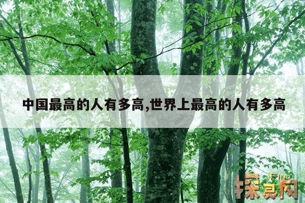 中国最高的人有多高,世界上最高的人有多高