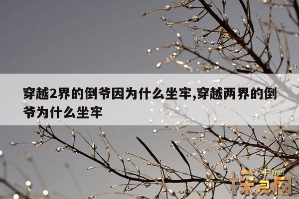 穿越2界的倒爷因为什么坐牢,穿越两界的倒爷为什么坐牢