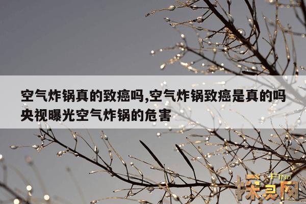 空气炸锅真的致癌吗,空气炸锅致癌是真的吗央视曝光空气炸锅的危害