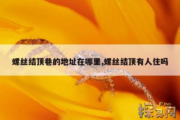 螺丝结顶巷的地址在哪里,螺丝结顶有人住吗