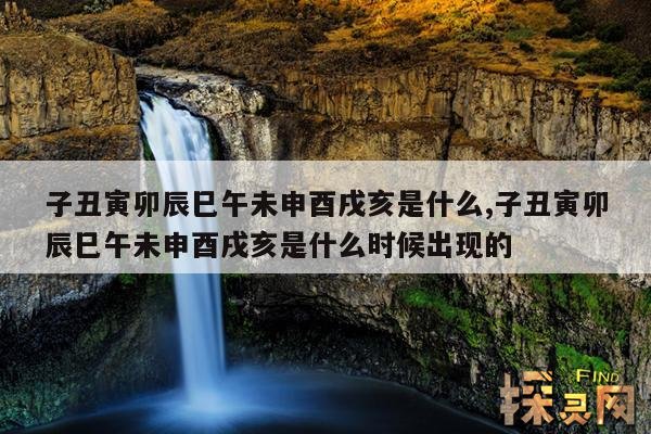 子丑寅卯辰巳午未申酉戌亥是什么,子丑寅卯辰巳午未申酉戌亥是什么时候出现的