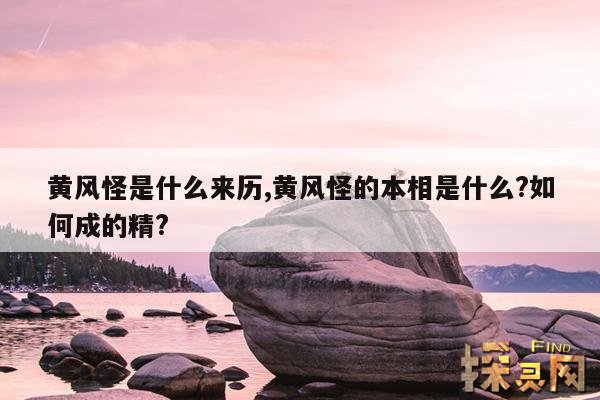 黄风怪是什么来历,黄风怪的本相是什么?如何成的精?