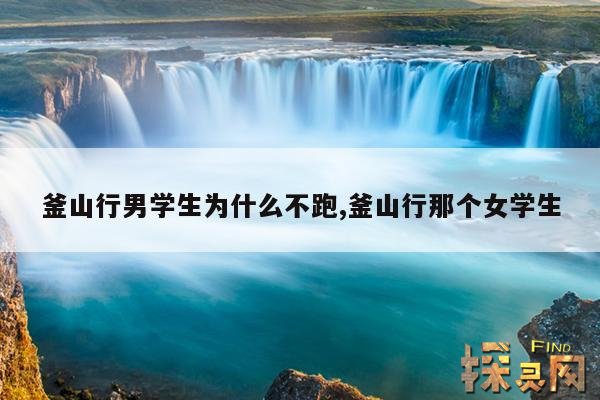 釜山行男学生为什么不跑,釜山行那个女学生