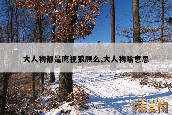 大人物都是鹰视狼顾么,大人物啥意思