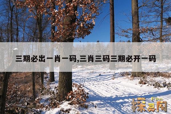 三期必出一肖一码,三期必出特一肖一