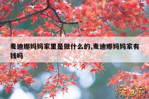 麦迪娜妈妈家里是做什么的,麦迪娜妈妈家有钱吗