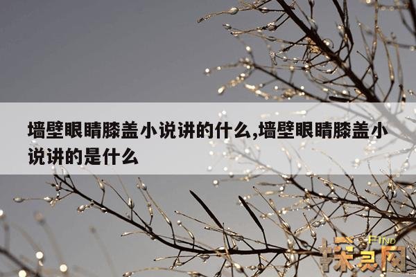 墙壁眼睛膝盖小说讲的什么,墙壁眼睛膝盖小说讲的是什么