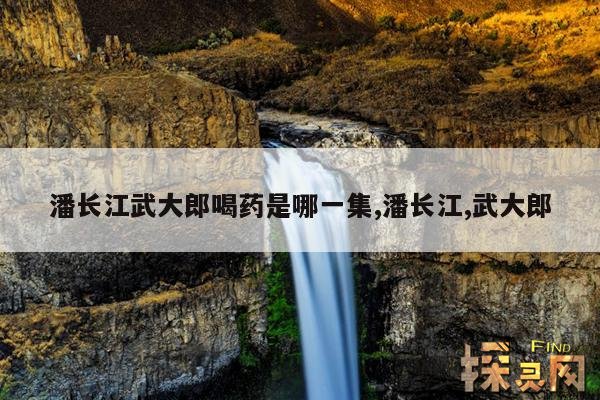 潘长江武大郎喝药是哪一集,潘长江,武大郎