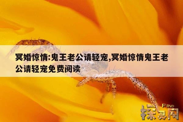 冥婚惊情:鬼王老公请轻宠,冥婚惊情鬼王老公请轻宠免费阅读