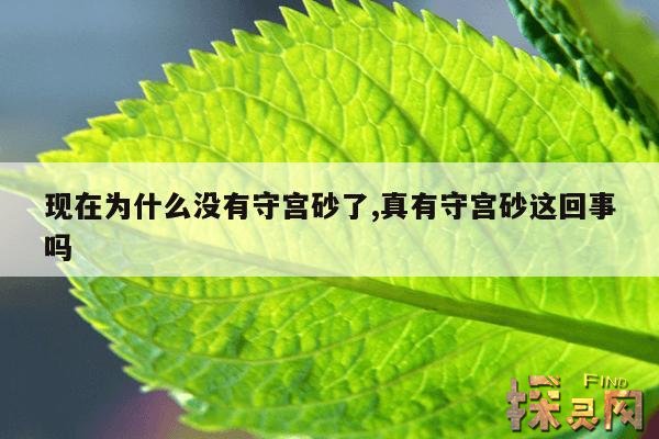现在为什么没有守宫砂了,真有守宫砂这回事吗