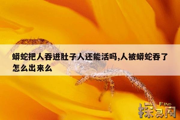 蟒蛇把人吞进肚子人还能活吗,人被蟒蛇吞了怎么出来么