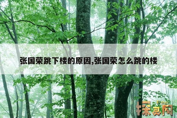 张国荣跳下楼的原因,张国荣跳搂