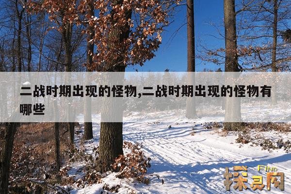 二战时期出现的怪物,二战时期出现的怪物有哪些