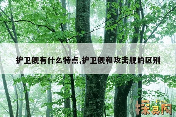 护卫舰有什么特点,护卫舰和攻击舰的区别