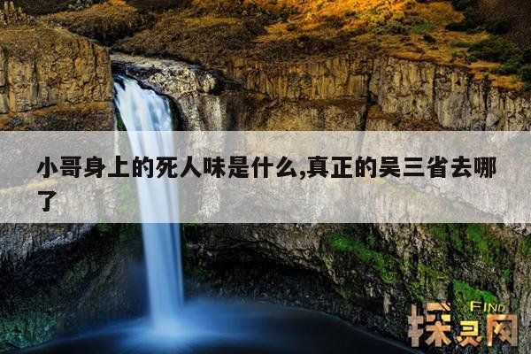 小哥身上的死人味是什么,真正的吴三省去哪了