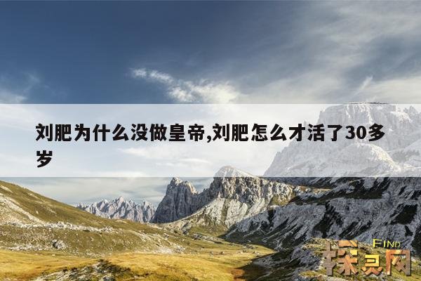 刘肥为什么没做皇帝,刘肥怎么才活了30多岁