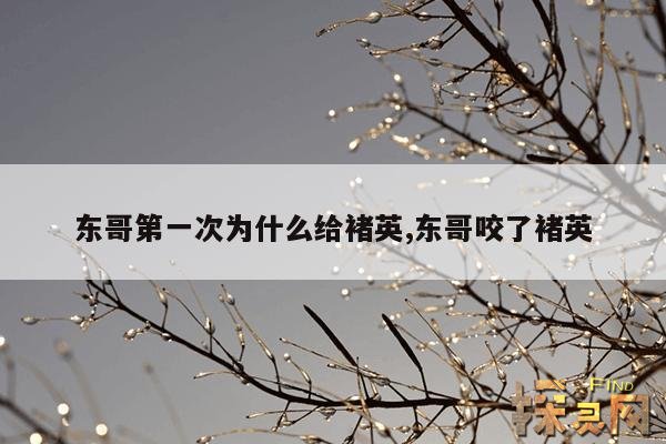东哥第一次为什么给褚英,东哥喜欢褚英吗?