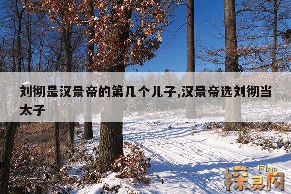 刘彻是汉景帝的第几个儿子,汉景帝选刘彻当太子