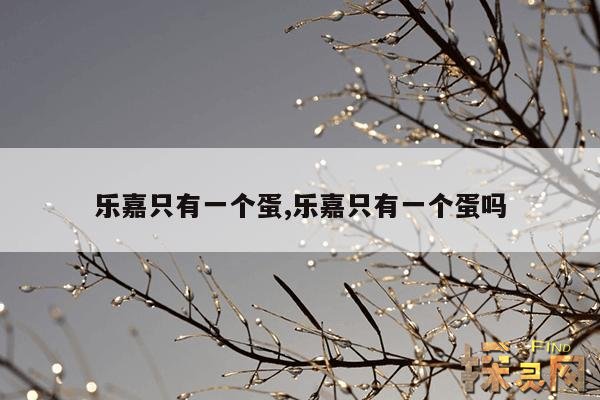 乐嘉只有一个蛋,乐嘉一颗蛋